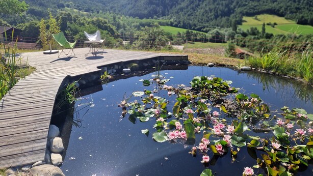 A wooden deck overlooking a pond with lily pads and a mountain backdrop. - Charming villa in the diois region, near a mountain village 20 minutes from Die (Miscon)
