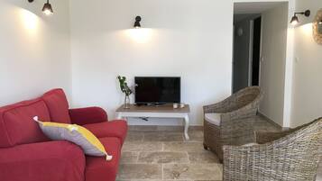 Télévision, lecteur de DVD, livres