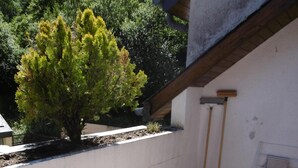 Une terrasse extérieure avec une table ronde et deux chaises, un arbre en pot et un balai appuyé contre le mur.