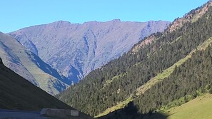 Eine gebirgige Landschaft mit einem Tal.