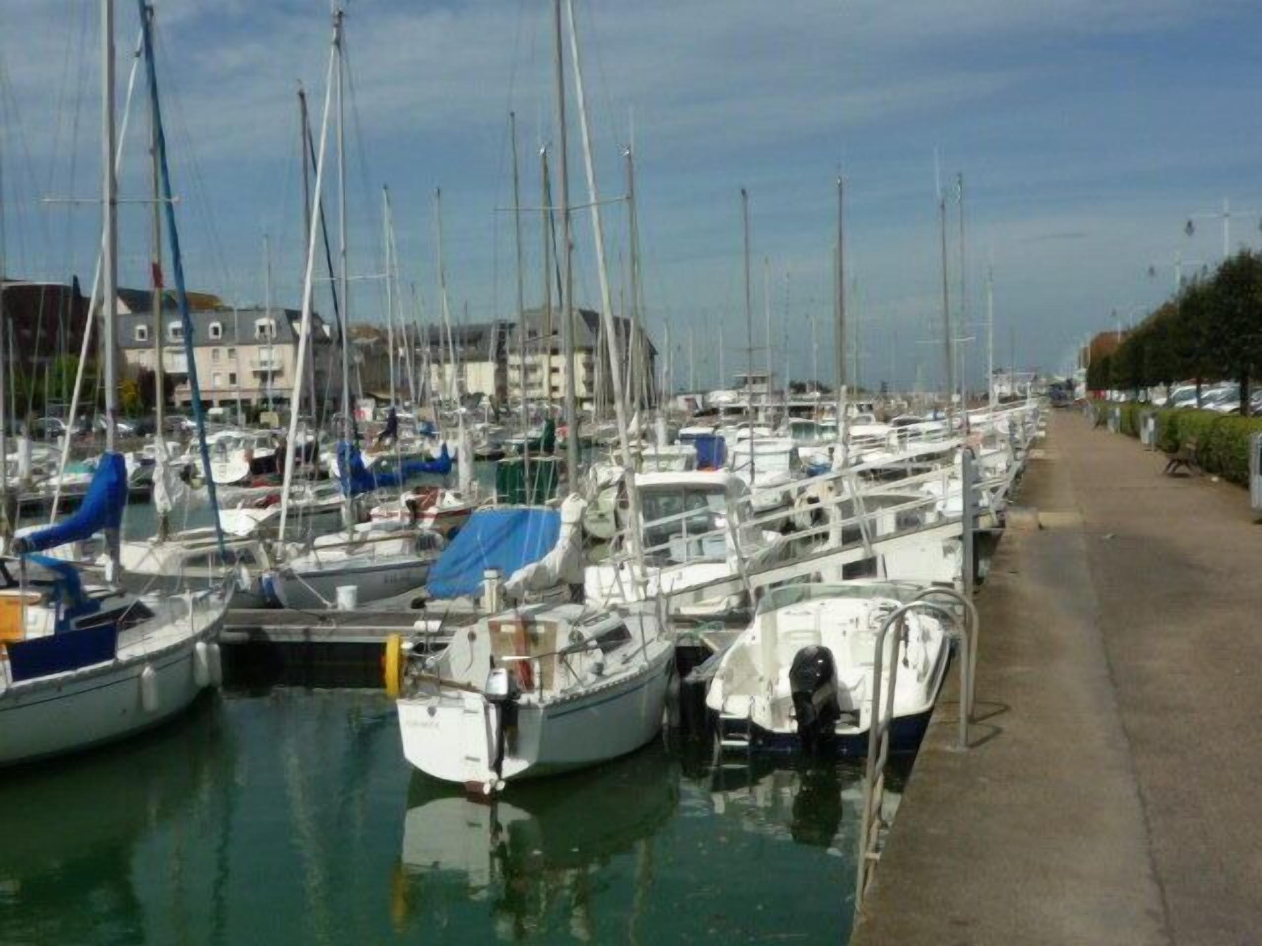 A marina with numerous boats docked in a row, a concrete walkway alongside, and buildings in the background.