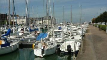 A marina with numerous boats docked in a row, a concrete walkway alongside, and buildings in the background.
