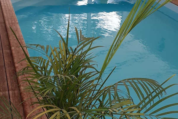 Piscine couverte, piscine chauffée