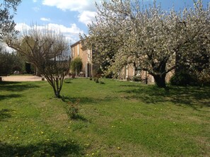 Property grounds - Authentic Mas Provencal 19th century classified 4 * in a 5000 m² fenced park (Meynes)