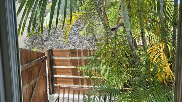 Vista attraverso una finestra su un pontile di legno con ringhiera in metallo, circondato da rigogliose palme e un recinto in legno.