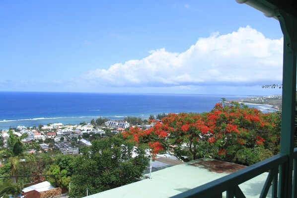 Property grounds - Chalet Sunset 2*, panoramic view of the bay, near Saint-Leu and its beaches (SAINT LEU)