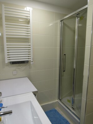 Regadera, secadora de cabello, jabón, papel de baño 