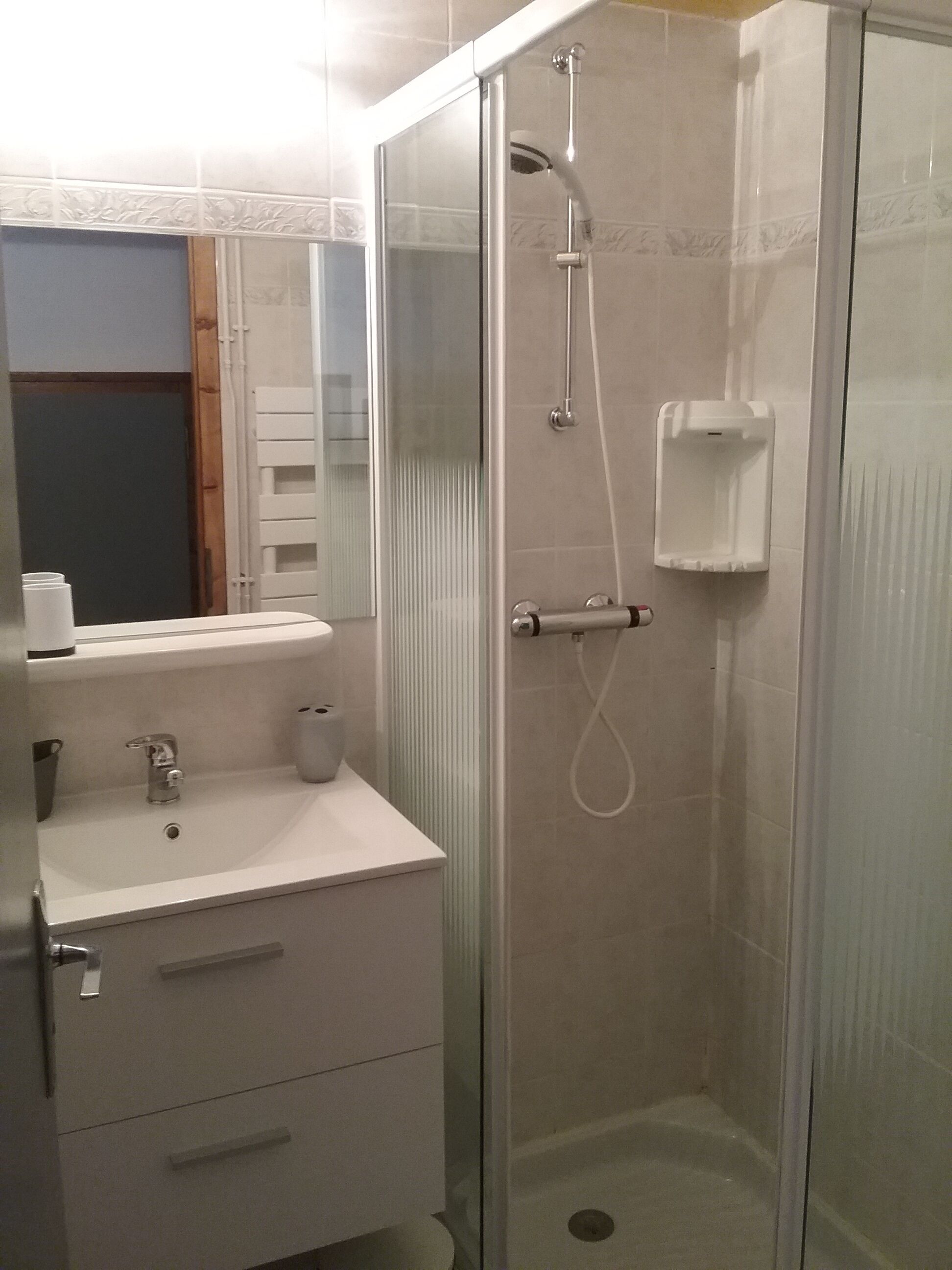 Shower, hair dryer, toilet paper