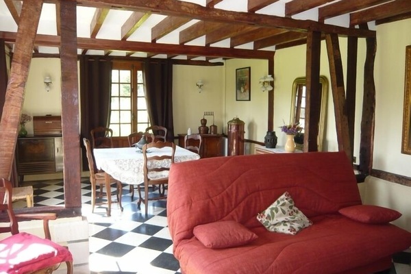Televisión, chimenea, reproductor de DVD, libros