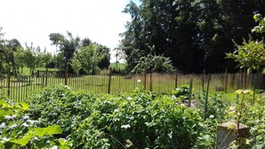 A garden with a wooden fence, various plants, and trees in the background. - TRADITIONAL GITE NORMAND (La Noë-Poulain)