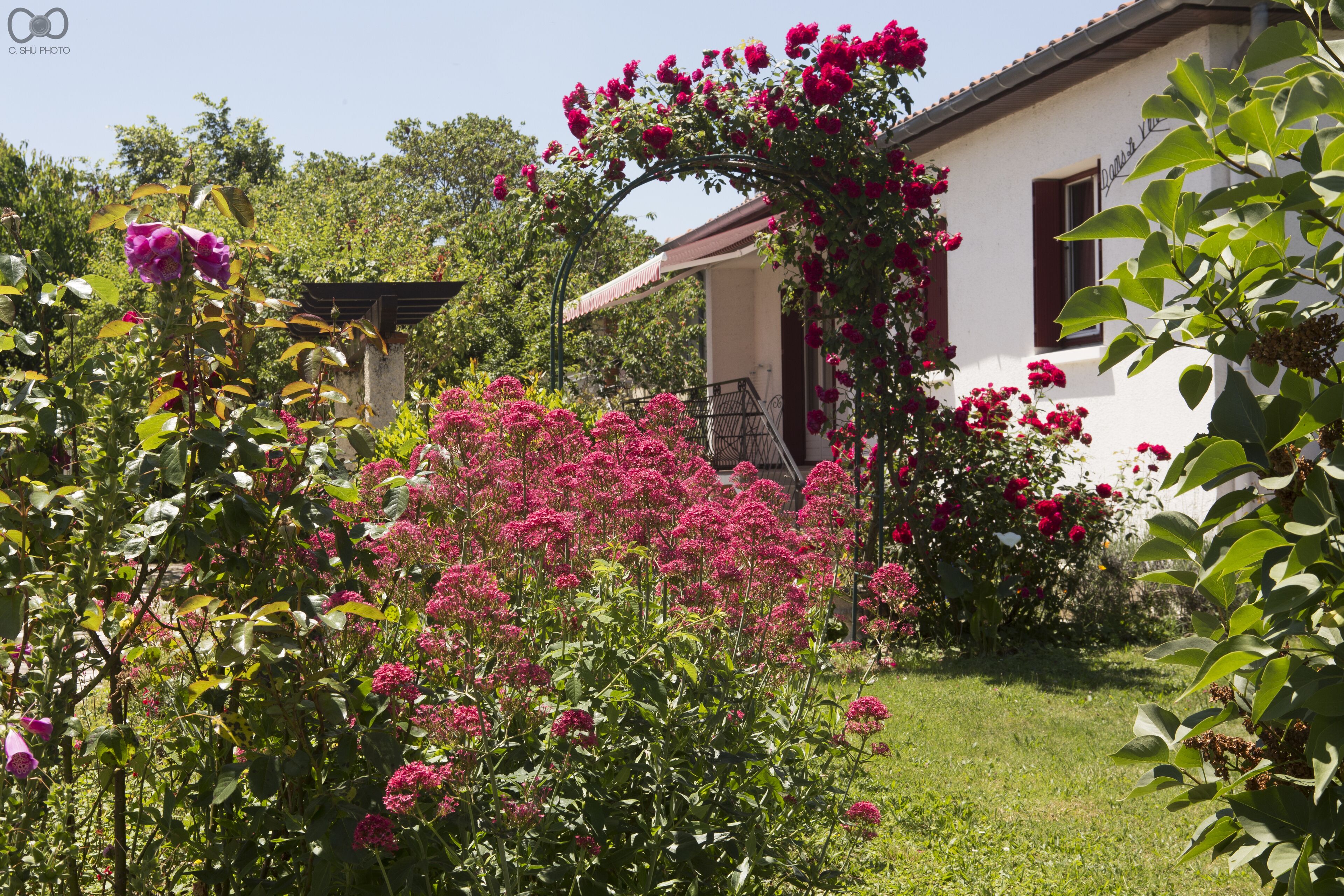 The Song of Flowers (Saint-Sulpice-la-Pointe)