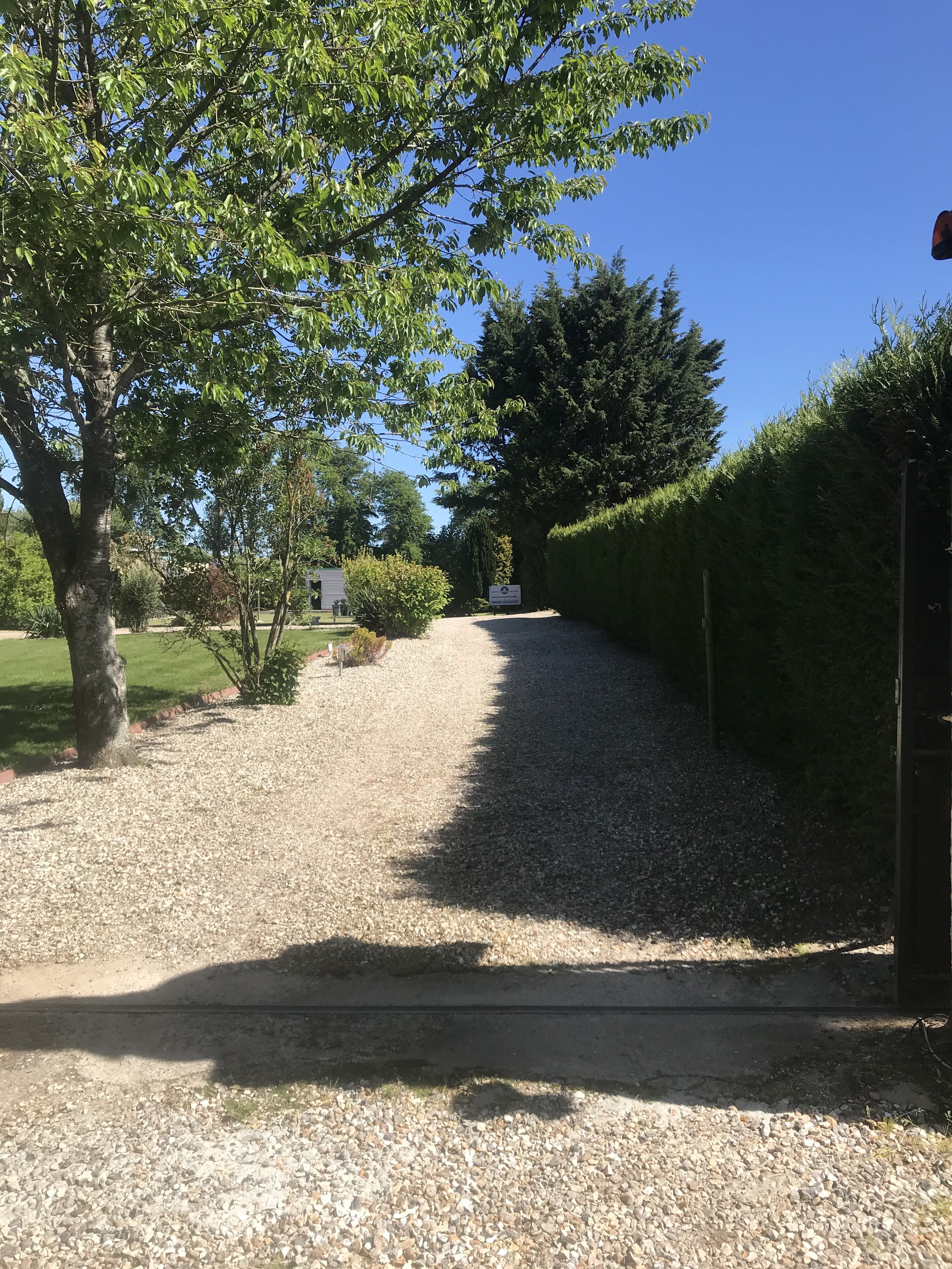 A gravel path flanked by trees and a hedge, leading to a building.