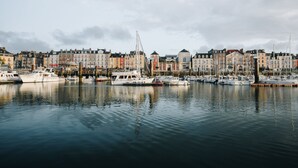 A marina with boats docked, surrounded by historic buildings.