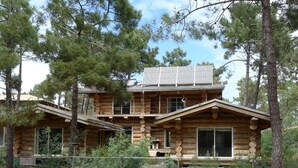 Eine Blockhütte mit Solarpanel-Dach, umgeben von Bäumen.