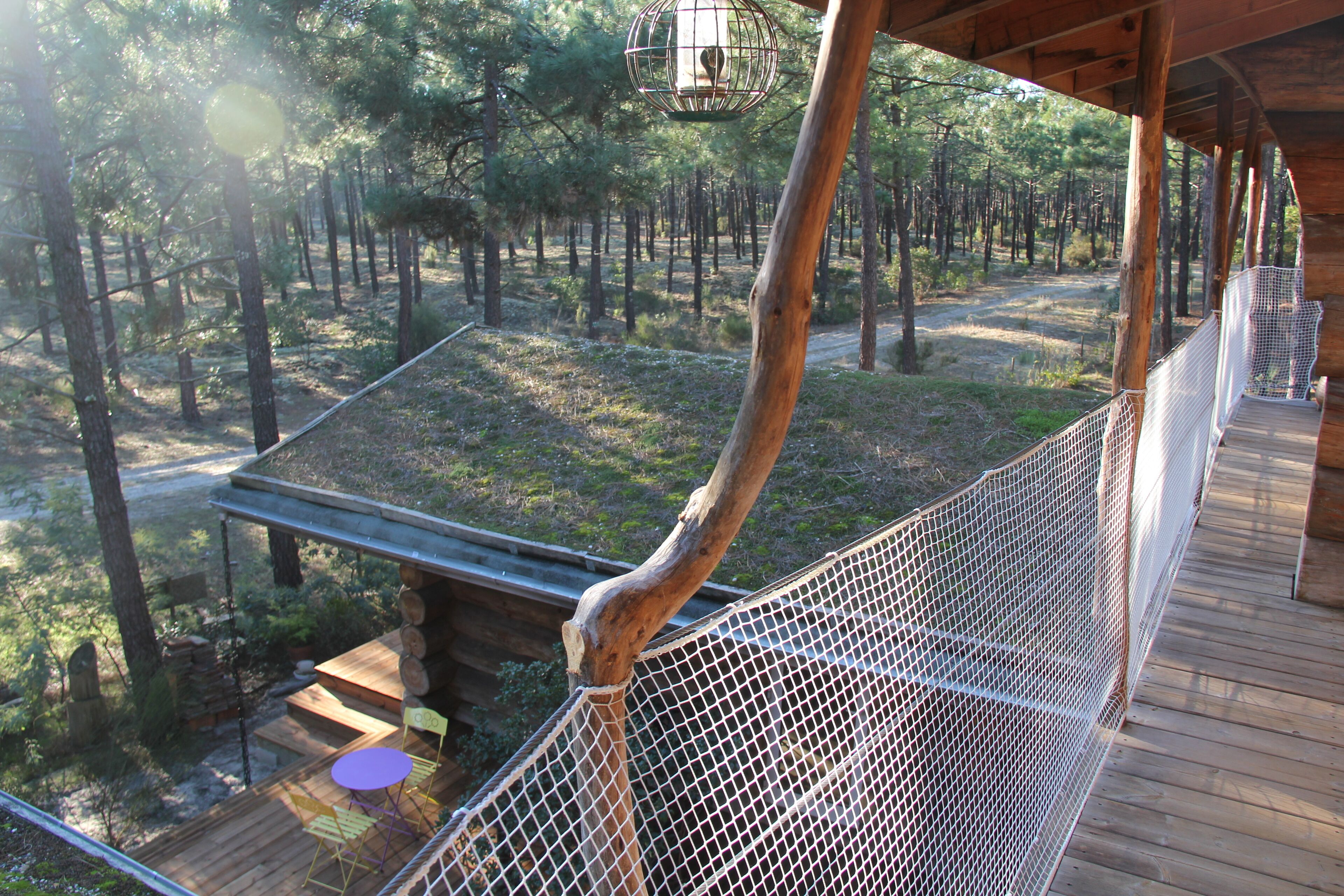 Una terraza de madera con barandilla de malla que da vista a un área boscosa.