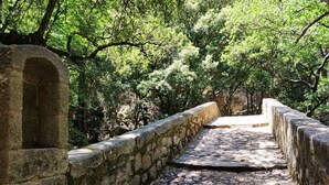 A stone pathway flanked by stone walls and trees, leading through a wooded area. - RENT STUDIO 30 m² fully equipped  (Coggia)