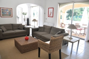 Televisión, chimenea, reproductor de DVD, libros