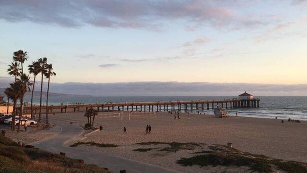A beach with a wooden pier extending into the ocean, palm trees, and a few people walking. - Studio 2 blocks to Beach w/ Parking - Close to LAX (Manhattan Beach)