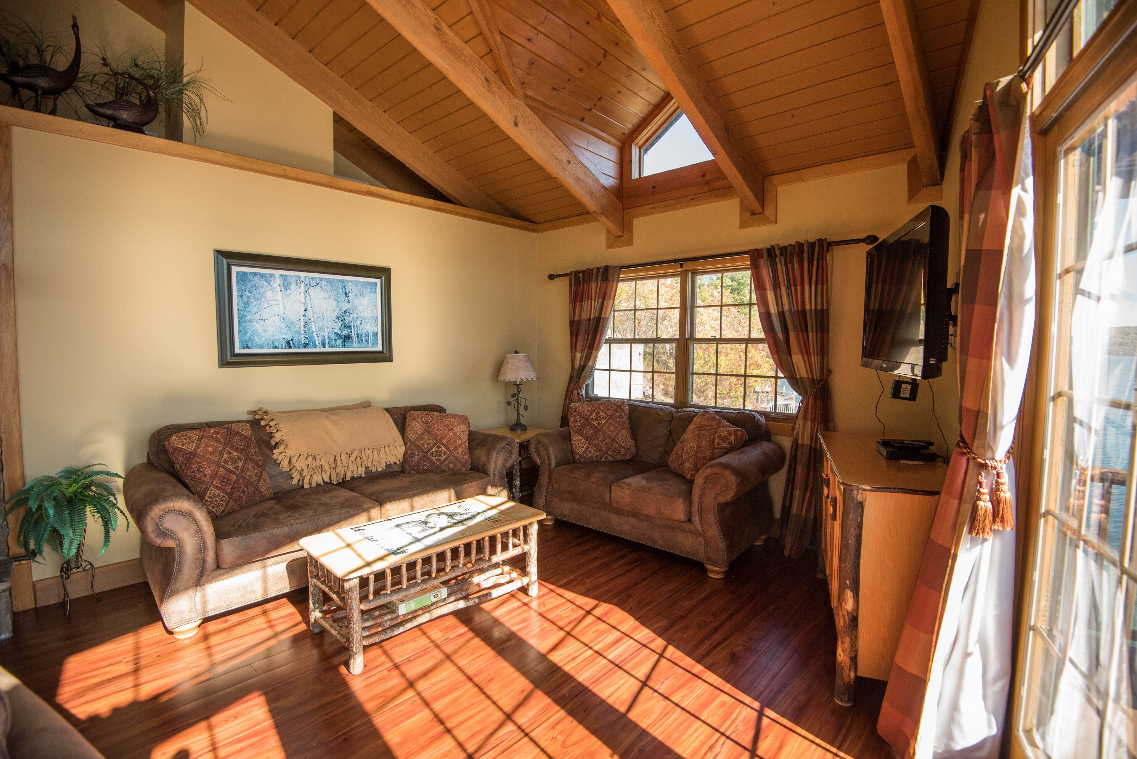 TV, fireplace