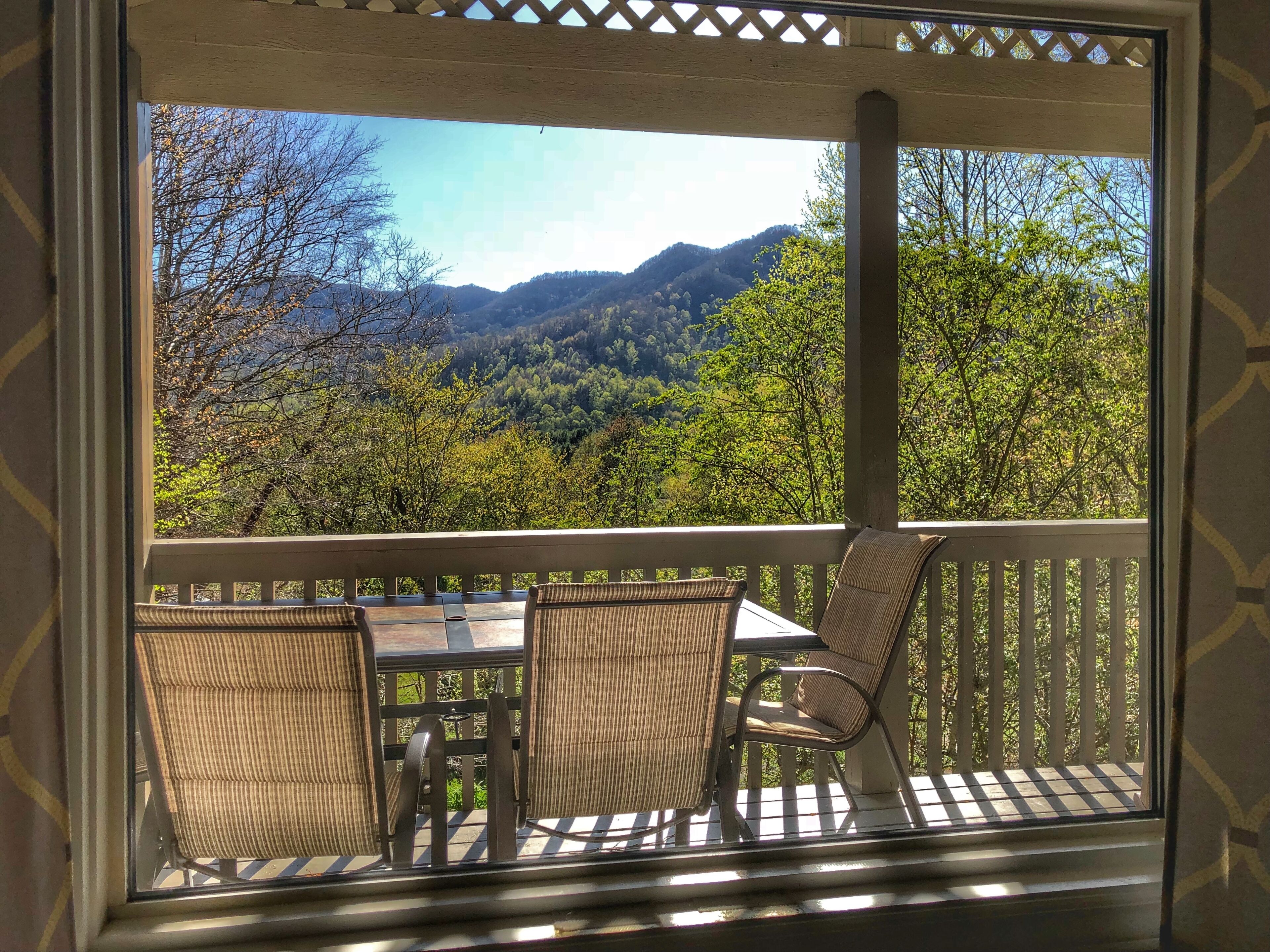 View from the living room