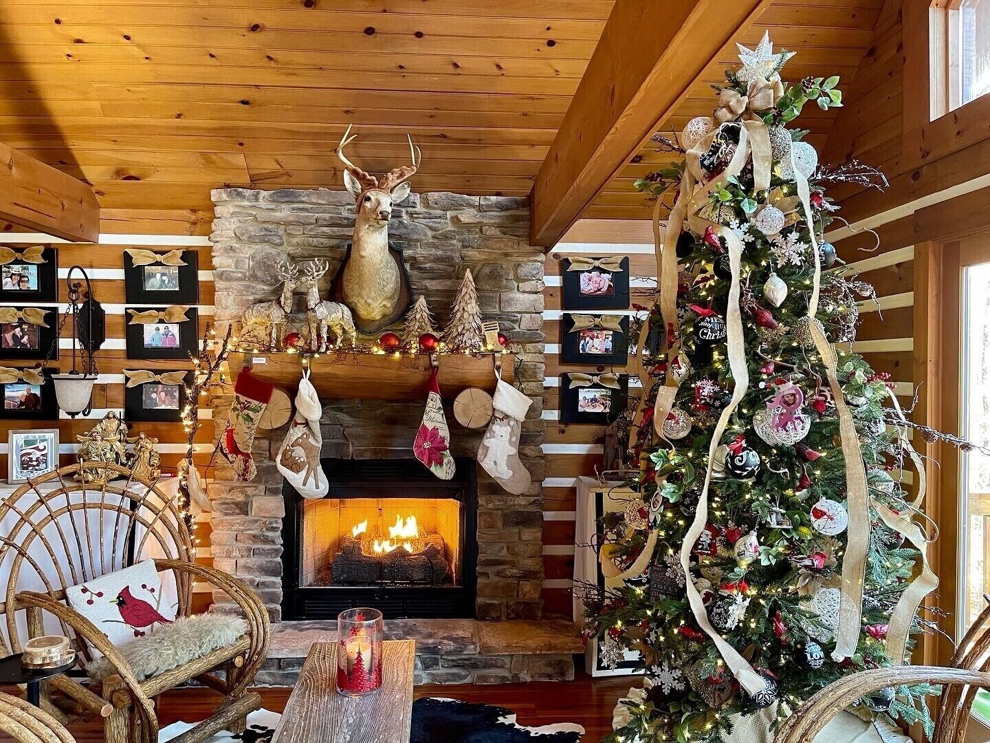 WATERFRONT LOG HOME w/ HOT TUB, 2 FIREPLACES, FIRE PIT, 77" TV SURROUND SOUND!