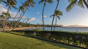 A beach view with palm trees, a clear sky, and a distant mountain. - Napili Lani 320 2BD Luxury with Beach Access (Lahaina)