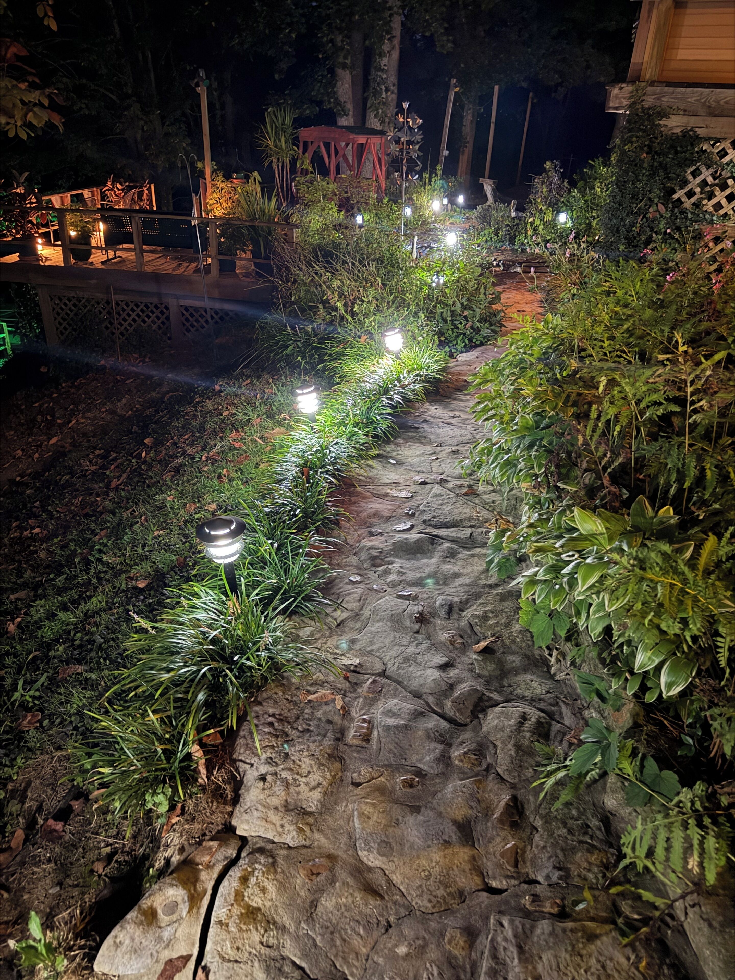 A stone pathway flanked by greenery and illuminated by small lights.