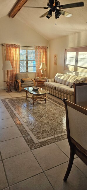 Smart TV, caminetto, lettore DVD, libri