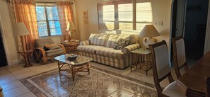 Smart TV, caminetto, lettore DVD, libri