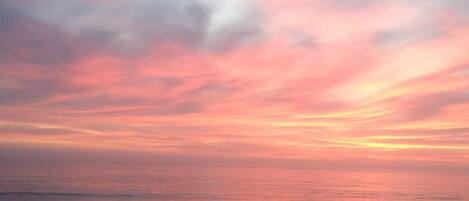 Plage à proximité, chaises longues, serviettes de plage