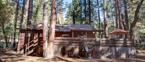 A rustic cabin with a wooden exterior, a staircase leading to the entrance, and a covered area with a red umbrella.