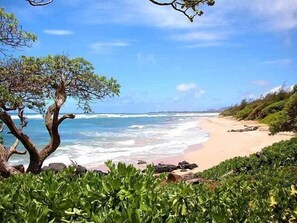 Ubicación a pie de playa, tumbonas y toallas de playa