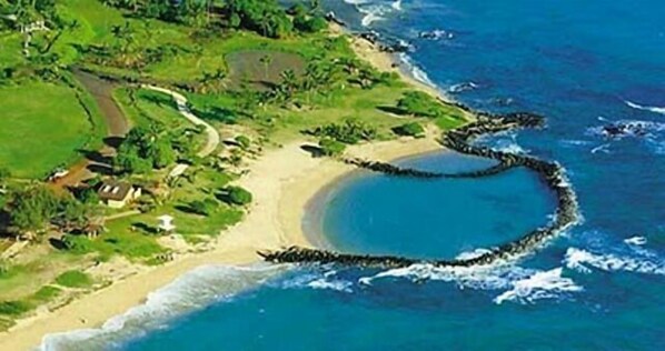Plage, chaises longues, serviettes de plage