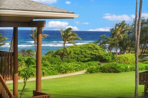 Property grounds - Kaha Lani #216, 2Bdrm, 2bath, kitchen, beachfront resort!  Ocean views. Quiet! (Lihue)