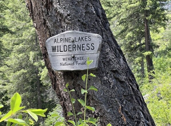 A sign on a tree in a forested area, reading "Alpine Lakes Wilderness Wenatchee National Forest."
