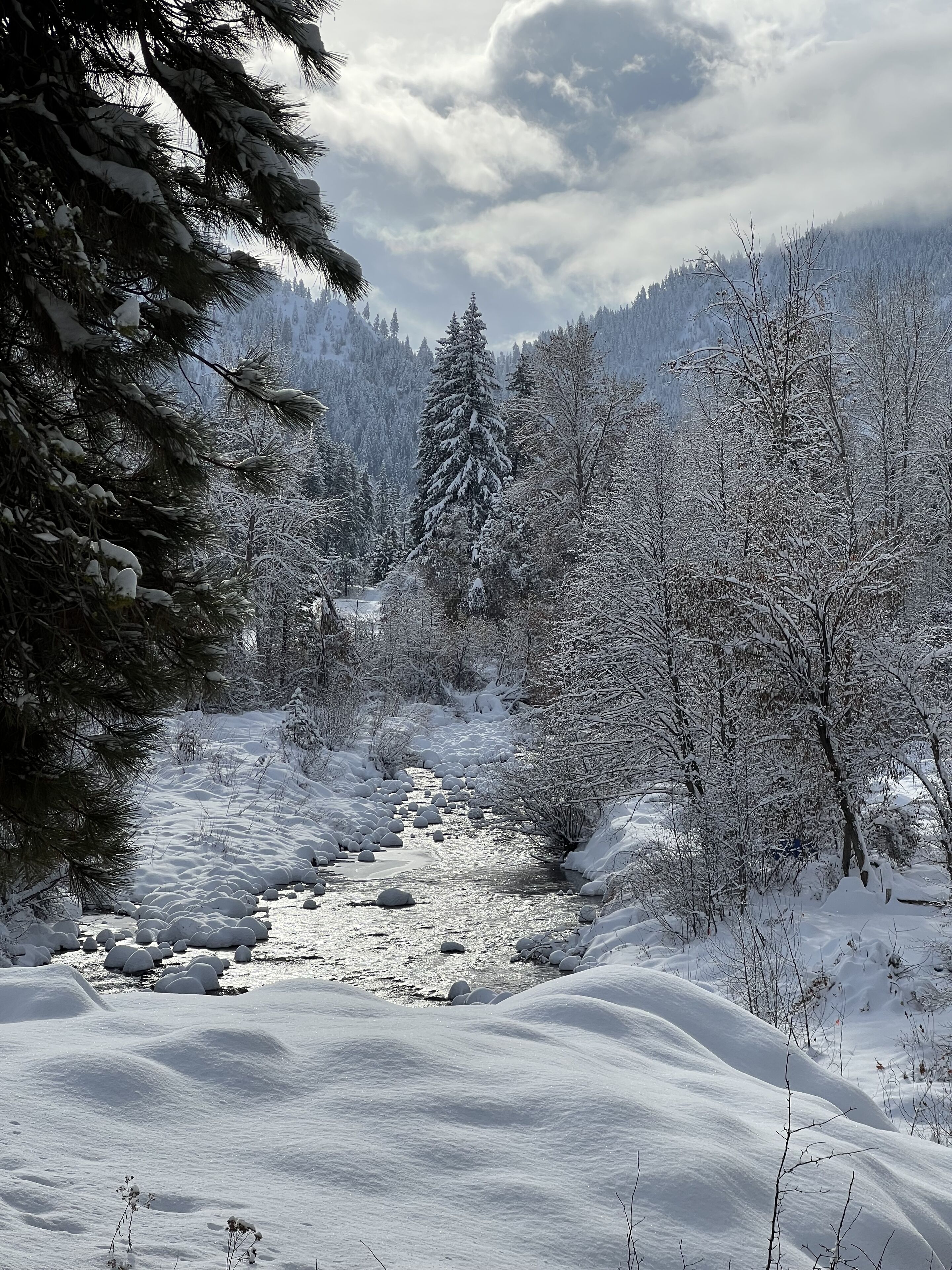 Un paysage enneigé avec une rivière, des arbres et des montagnes en arrière-plan.