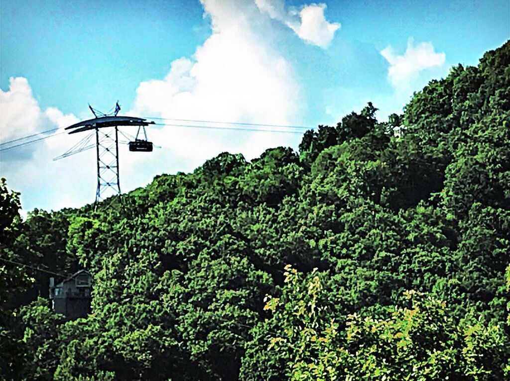 A cable car system with a cable car suspended between two towers, surrounded by dense green foliage.