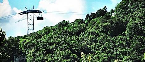 A cable car system with a cable car suspended between two towers, surrounded by dense green foliage.