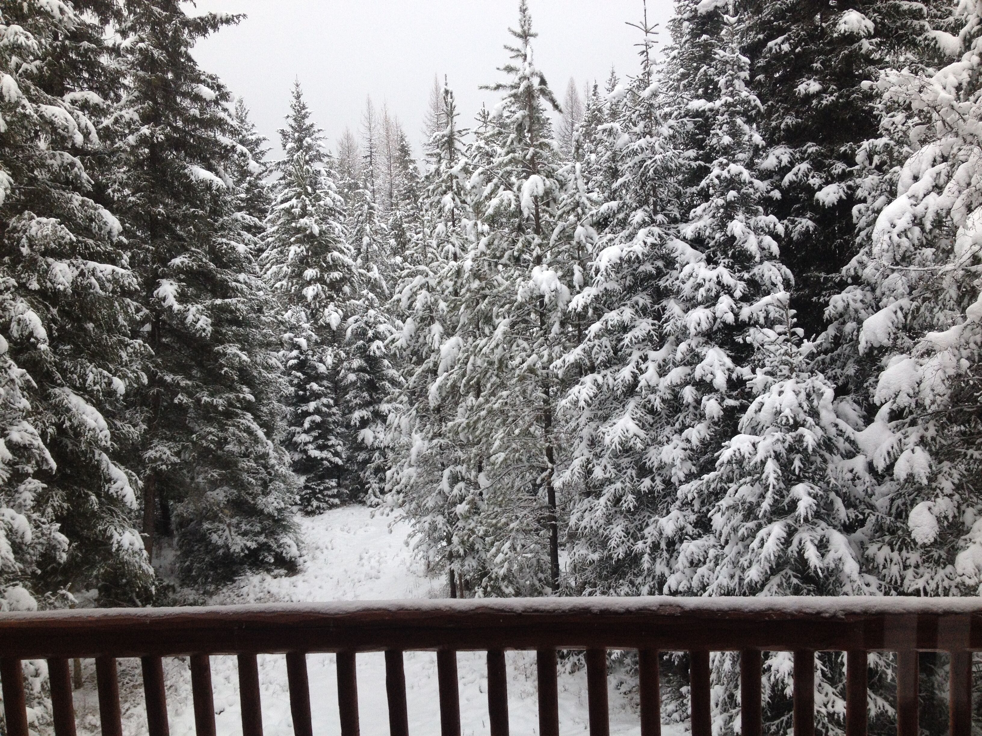 Quiet Cabin nested in the Many Lakes area near Bigfork and Kalispell