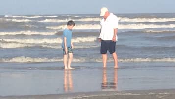 Plage à proximité, chaises longues, serviettes de plage