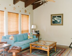 Smart TV, fireplace, DVD player, video library