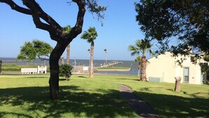 A grassy area with a pathway leading to a building, palm trees, and a view of the ocean.