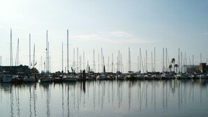 A marina with multiple sailboats docked in calm waters.
