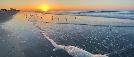 On the beach