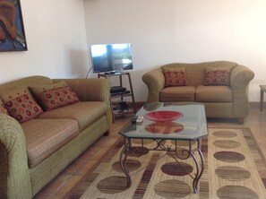 تلفزيون، مدفأة، مشغل دي في دي، مكتبة موسيقى