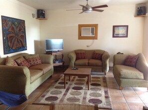 Fernseher, Kamin, DVD-Player, Musikbibliothek