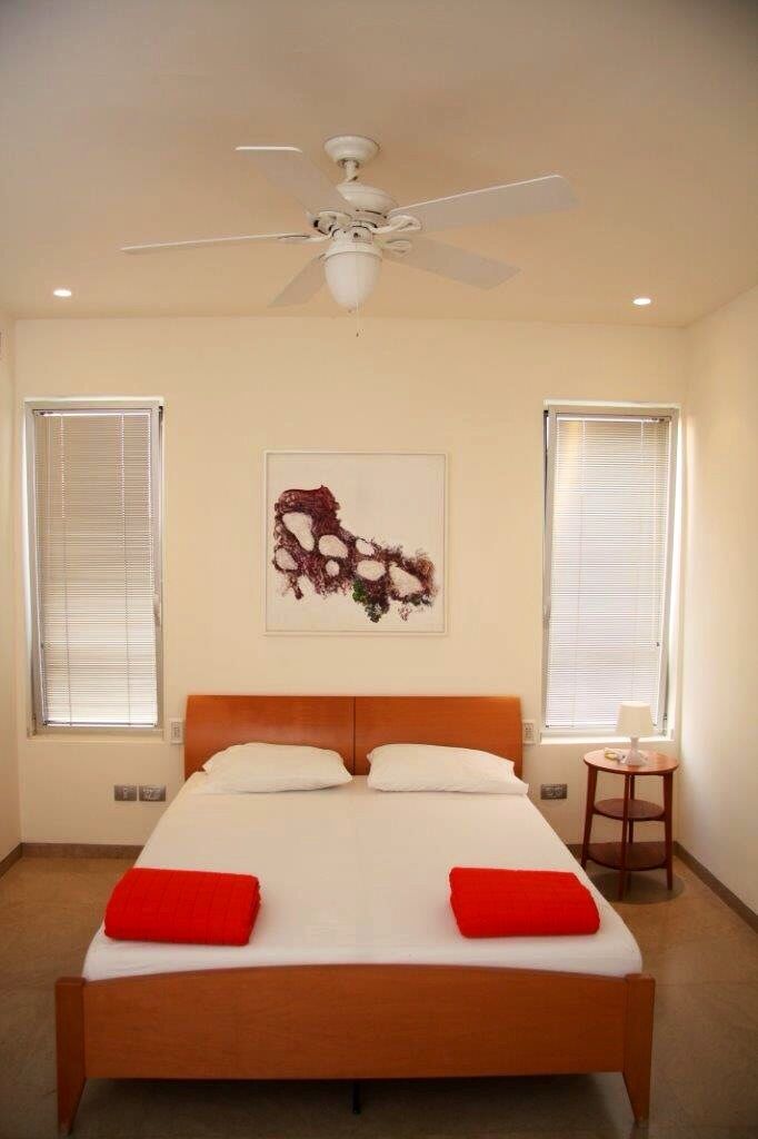 Ein Schlafzimmer mit einem Bett, einem Deckenventilator und zwei Fenstern mit Jalousien.