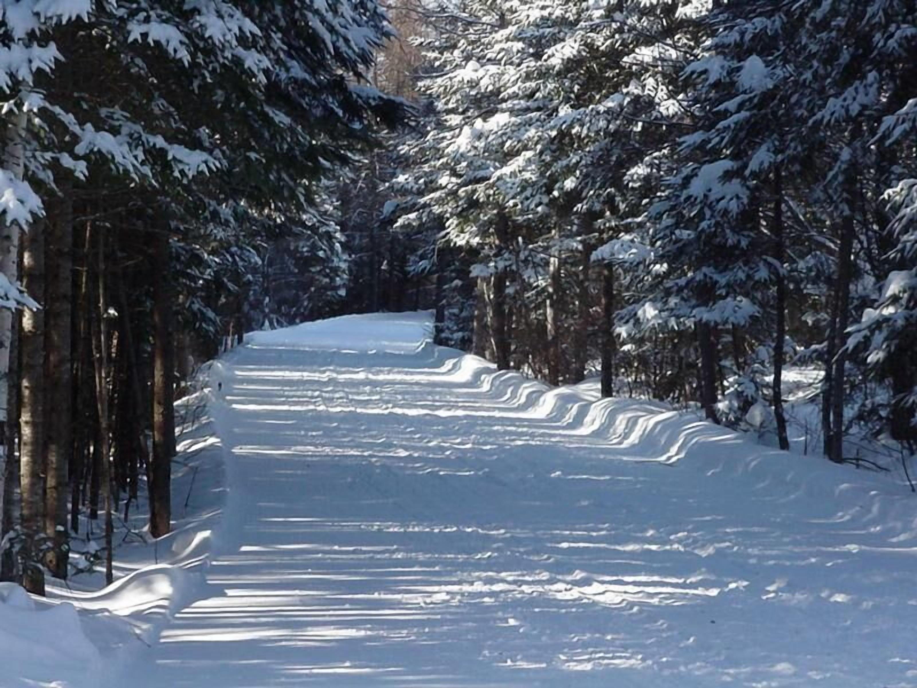 Coyote Den, Snowmobile-Guest Cabin-Constableville, ~NY~
