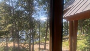 Vista pela janela de uma área arborizada com árvores altas e uma trilha de terra.