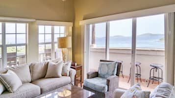 Smart TV, DVD player, books, stereo